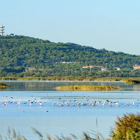 Les Ondines 2 By Interhome Tatil Evi Agde